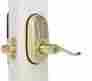 084032 Yale New Durable Interior Exterior Real Living Push Button Polished Brass Lever 081023840323