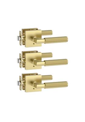 Zr01-098a-b Amerdeco 3 Packprivacy Door Handles Brushed Gold Handlesinteriorknurledgold