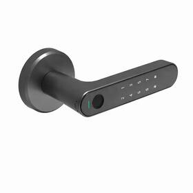 180-s Cg Series Fingerprint Smart Door Lock Keypad Handle Matte Black New