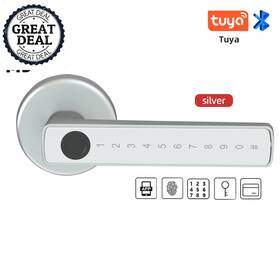 Raykube 445032482432 Smart Fingerprint Door Lock Electronic With Password Key Card Tuya App Unlock