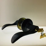 Schlage J54SEV716 Seville Aged Bronze Keyed Entry Lever Style & Value. Fixed Price $22.95.