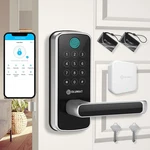 Smart Door Lock With Wifi Gateway, Keyless Entry Handle - Smar.... Fixed Price $92.47.