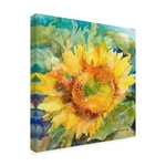 Trademark Fine Art ALI38108-C3535GG Sun Shower By Annelein Beukenkamp 35" X 3.... Fixed Price $194.29.